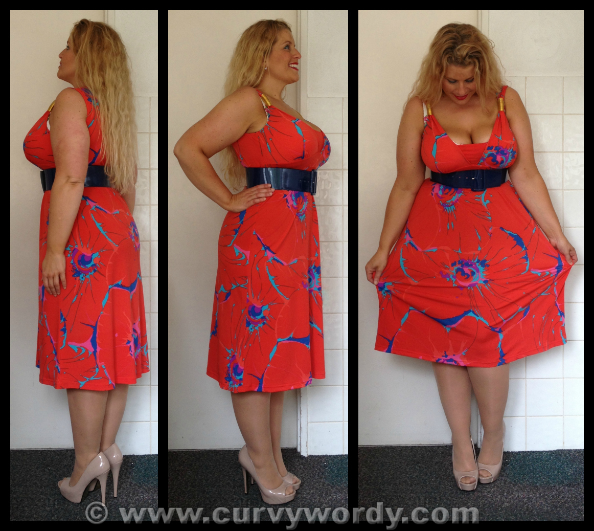 Anna Scholz for Simply Be Print Midi Dress 14