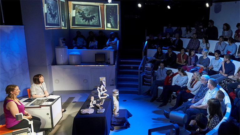 Natural History Museum Fun Things to Do in London in Summer 2024