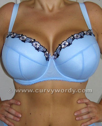 Bra fitting guide, Curvy Wordy blog, Curvywordy blog, How to find a bra that fits, your bra size, plus-size bra fitting guide, bra styles for different body shapes, bra fitting charts and calculators, bra fit for petite frames, factors affecting bra fit, plus size bra